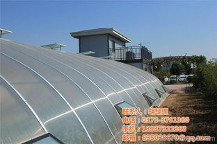 高科技光伏大棚 大棚 精农科技 查看