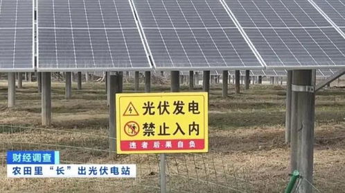 央视曝光湖北孝感多地光伏电站侵占基本农田 当地回应 正在调查核实中