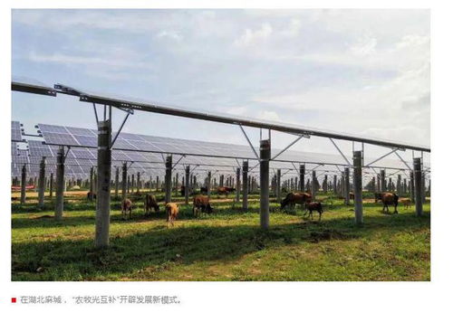 隆基 来自 人民日报 的点赞 光伏业凸显新优势